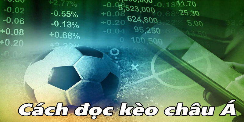 Cách đọc kèo chấp chia theo tỷ lệ được nhà cái cho