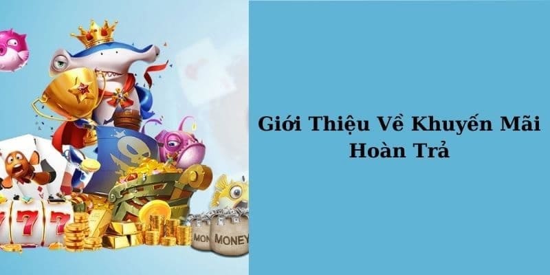 Đôi điều khi tìm hiểu hoàn trả tức thì Hubet 